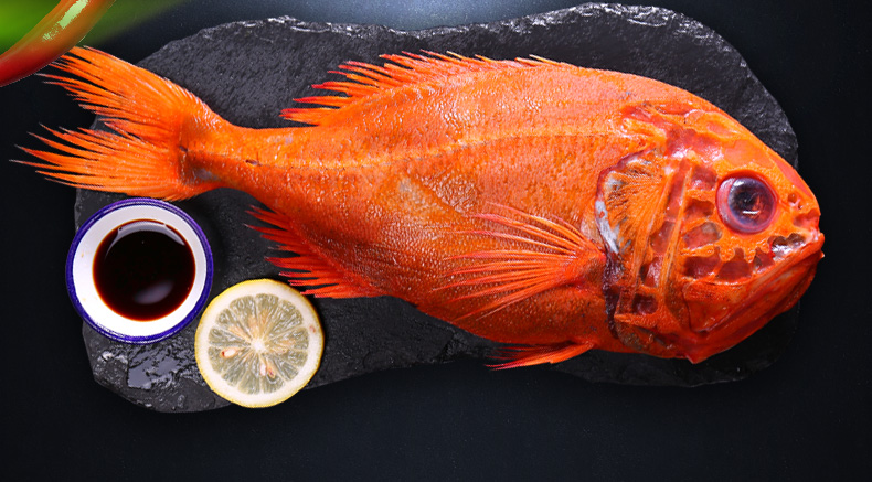 星农联合新西兰长寿鱼2条2500