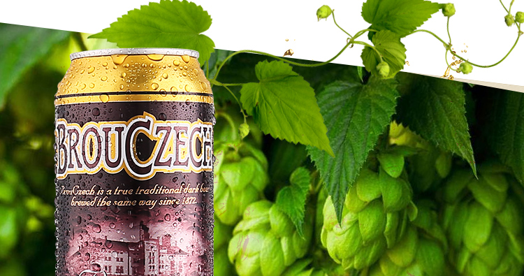 捷克进口布鲁杰克brouczech黑啤酒500ml24听整箱装