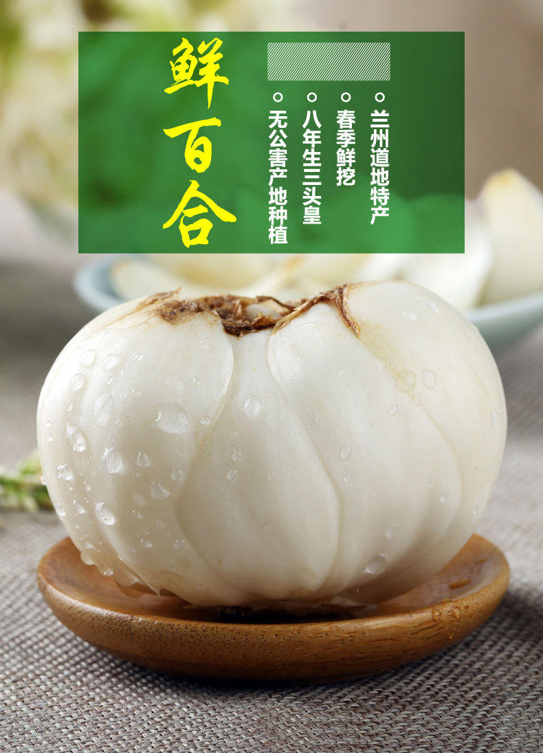 兰州新鲜百合250g四头皇兰州鲜百合甜糯现挖鲜百合航空非百合干甜百合