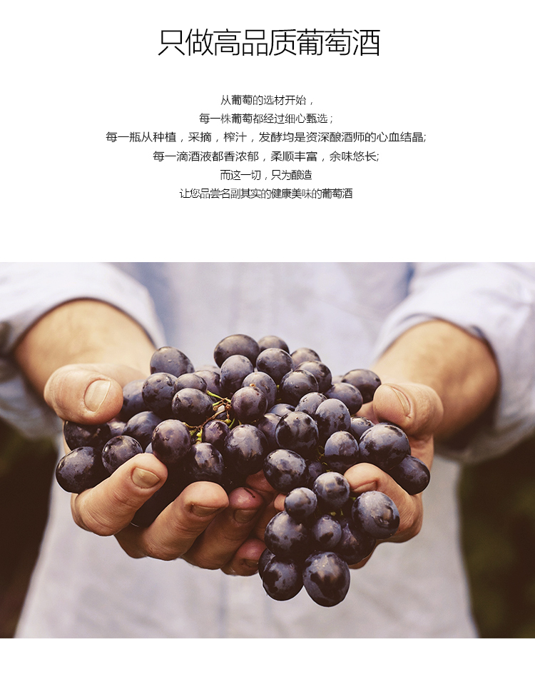 菲思特feasta美乐干红葡萄酒750ml单支装