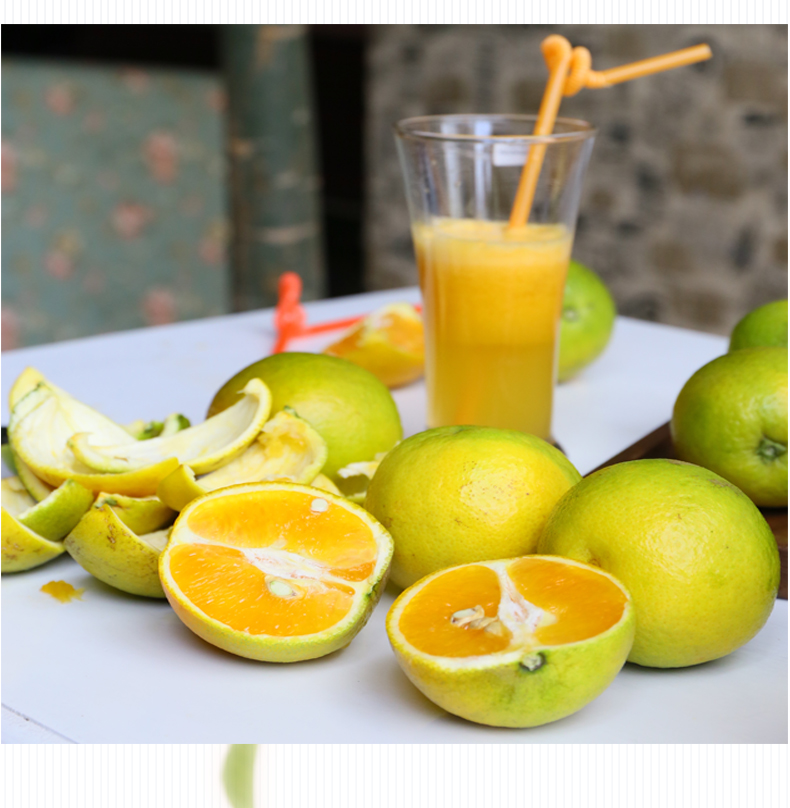 秭归夏橙酸甜可口榨汁鲜橙果园现摘现发65mm5斤装