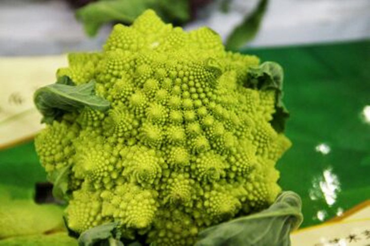 罗马花菜500g 宝塔菜 绿塔花椰菜 新鲜蔬菜as