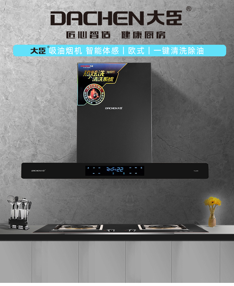 大臣油烟机cxw230t11d9