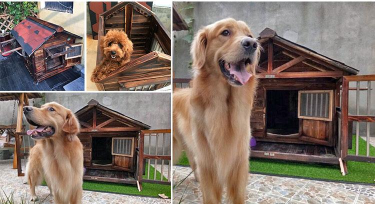 定制实木狗屋户外防腐金毛宠物狗窝l中大型犬舍木质狗笼夏天狗房抖音