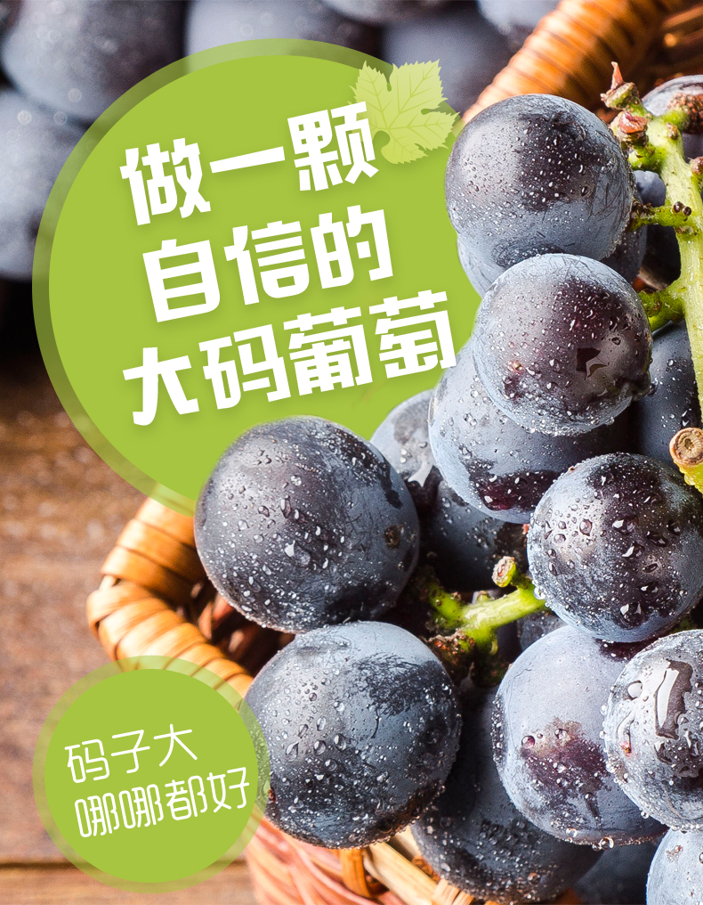 苏宁生鲜辽宁巨峰葡萄1kg