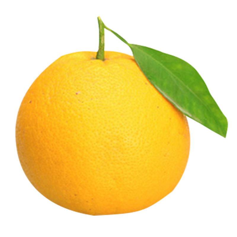 博多客 博多客 浙江 衢州 常山 胡柚 10斤 新鲜 水果 柚子【价格 图片