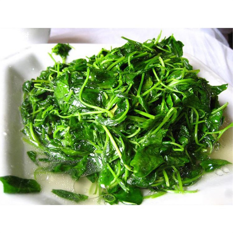 草头500g金花菜新鲜蔬菜