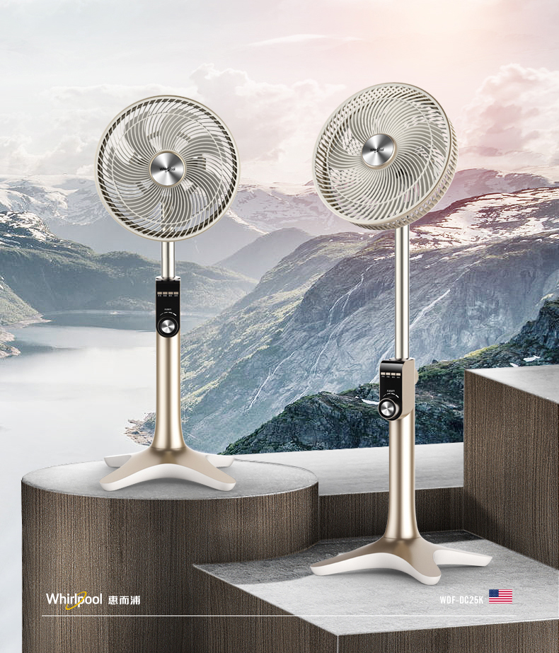 惠而浦电风扇塔扇家用遥控落地扇静音无叶风扇台式定时风扇立式