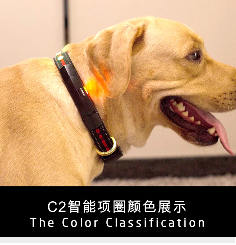 宠物定位器项圈智能狗项圈防走丢gps跟踪追踪器狗狗项圈