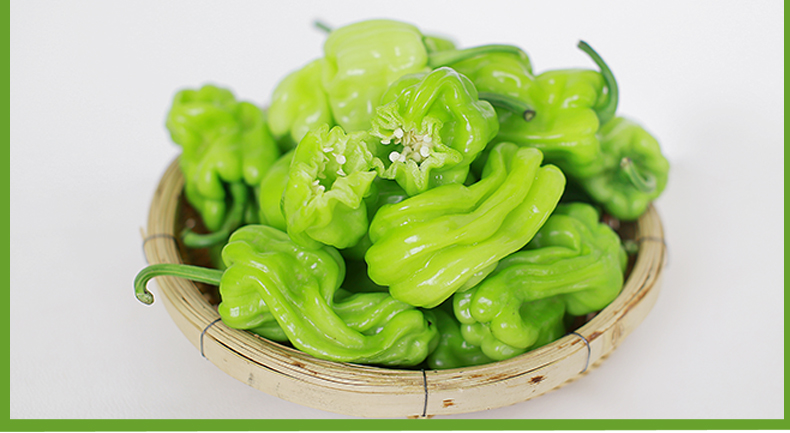 云南新鲜皱皮辣椒15kg虎皮辣椒