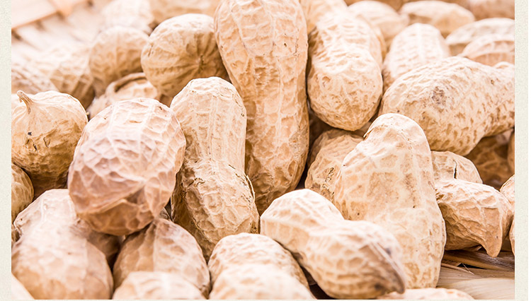 【中华特色】兰考馆 萧美人花生卤香味2.5kg/袋 休闲零食 坚果 华中