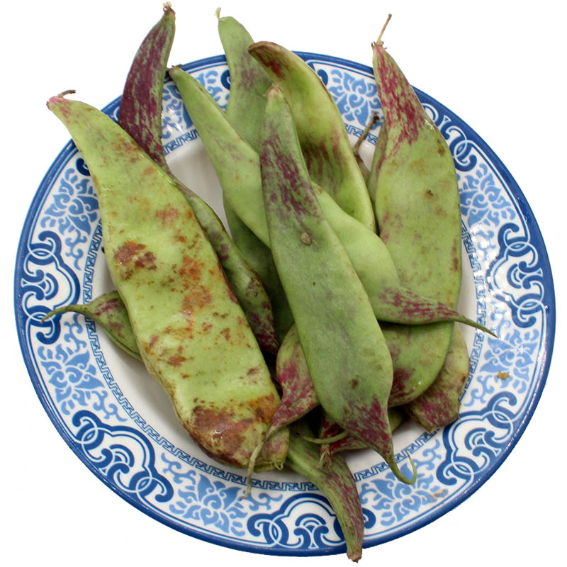 油豆角 5斤 东北特产开锅烂 新鲜蔬菜 豆角 豇豆宽
