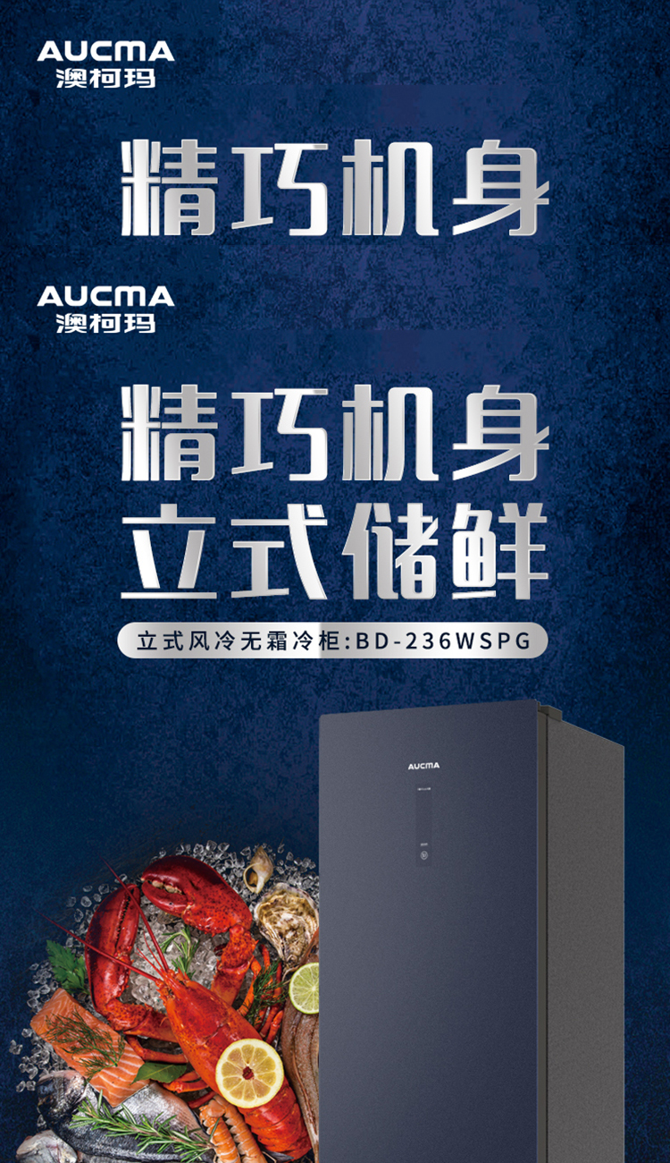 澳柯玛(aucma)冷柜bd-236wspg 澳柯玛风冷无霜立式冷冻柜bd-236wspg星
