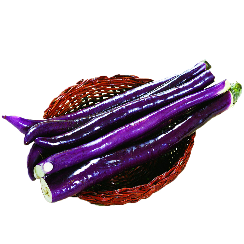 都趣排球服tb#579677692969 促销杭茄一号种子 紫红皮线茄子长茄 蔬菜