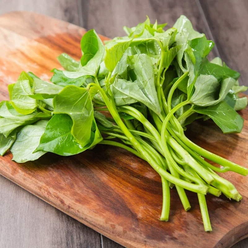 红薯叶15kg地瓜叶番薯叶鲜