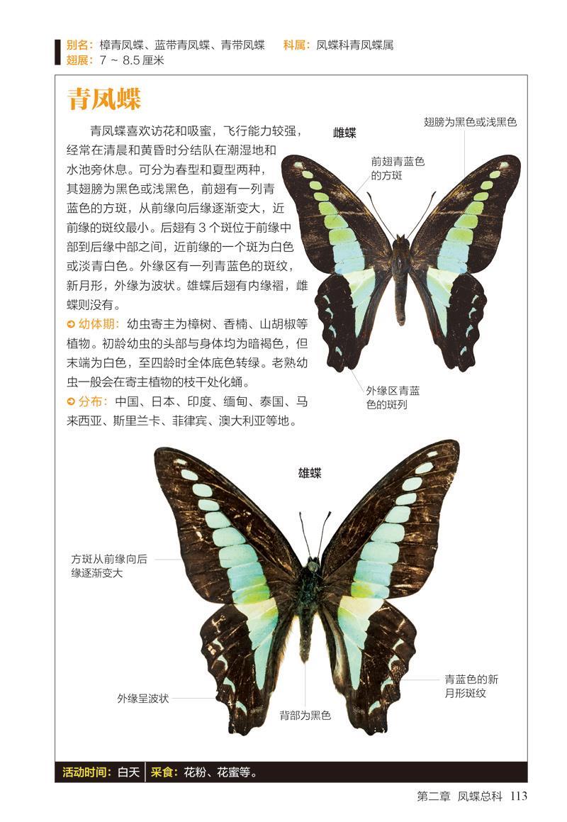 蝴蝶图鉴:158种蝴蝶与60种蛾类的特征与识别