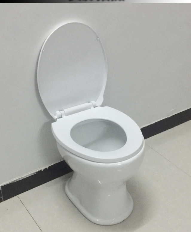 迪鲁奥(diluao)坐便器560837802626 旱厕坐便器陶瓷直通式免冲旱便蹲