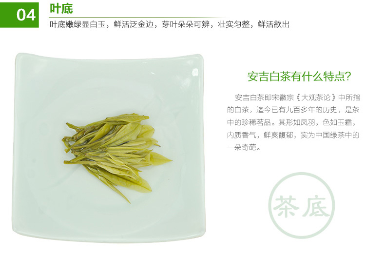 预售安吉白茶50g雨前2020新春茶叶原产地绿茶茶叶