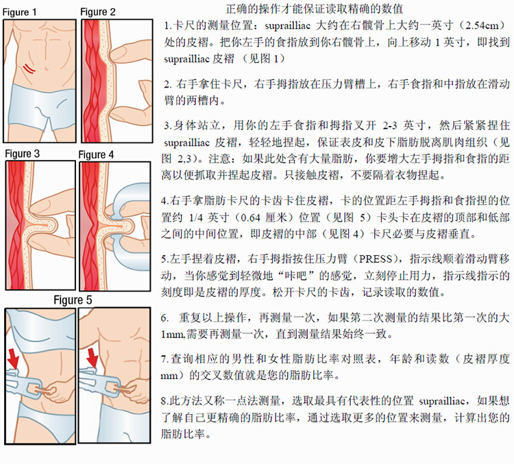 皮肤脂肪卡尺皮褶厚度计体脂测量仪皮脂钳测量夹体脂仪bmi