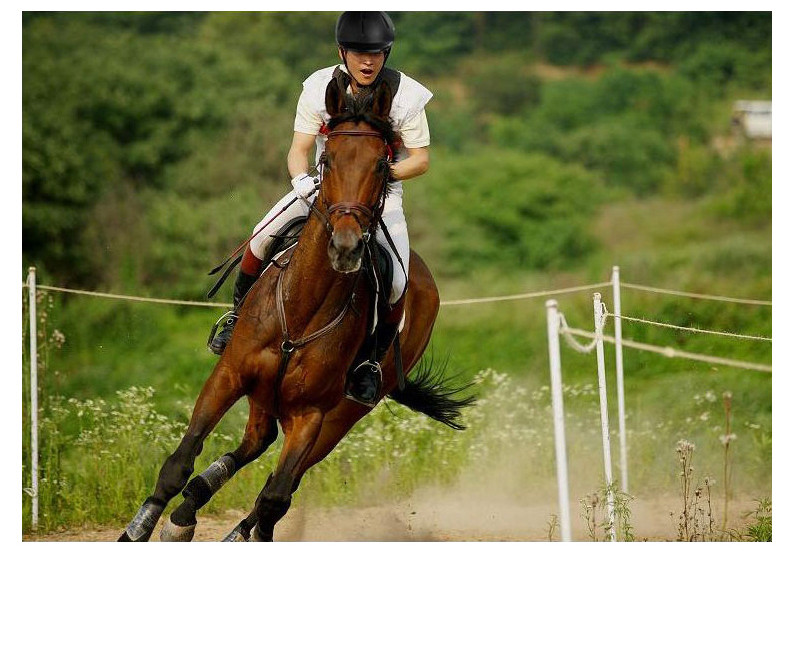 moon新款马具用品马术头盔骑马专业头盔男女款骑马装备马盔