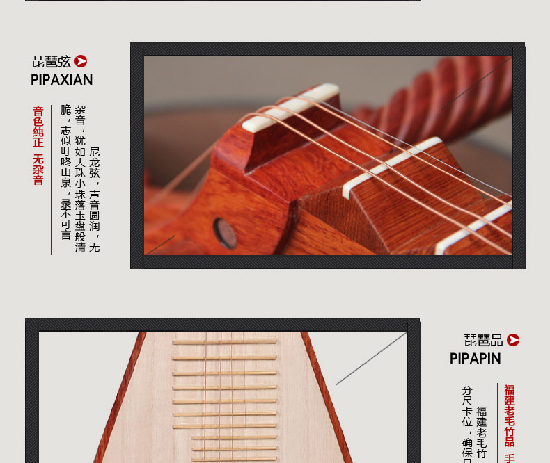 梵巢琵琶pp07酸枝木整背板梧桐木面板抛光演出演奏用琴