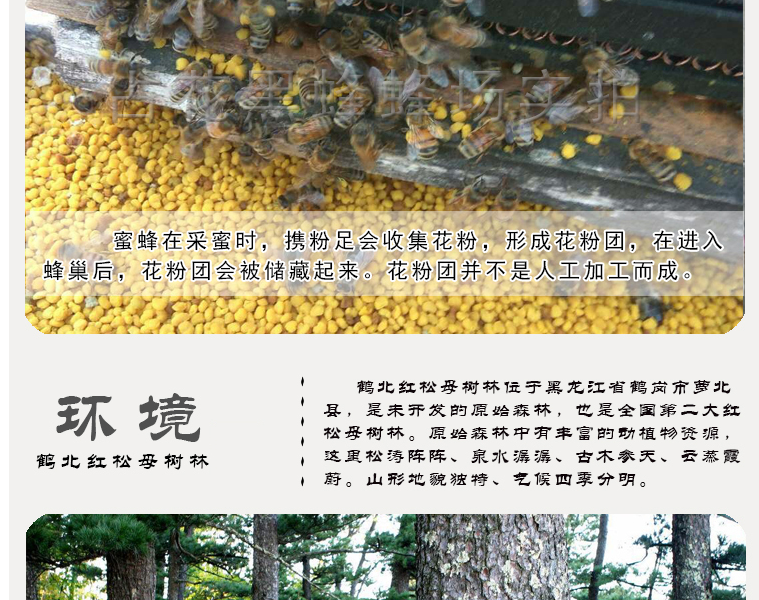 占花黑蜂蜂制品 中华特色 萝北馆占花黑蜂黑蜂柳树粉500g 瓶蜂花粉天然滋补 价格图片品牌报价 苏宁易购中华特色馆 萝北馆