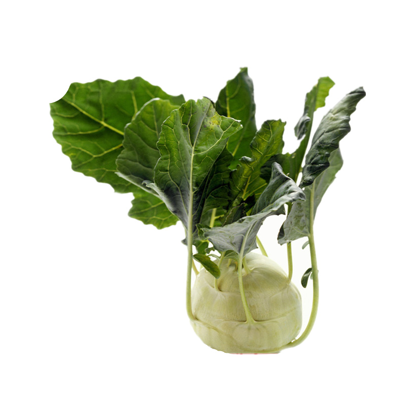 蔓菁25kg旱地疙瘩大头菜新