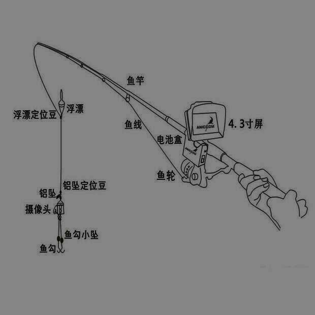 鱼竿的组成结构图图片