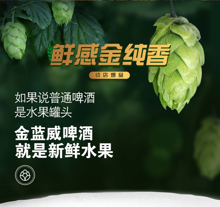king lanwei/金蓝威啤酒500ml*18听 醇香小麦啤酒