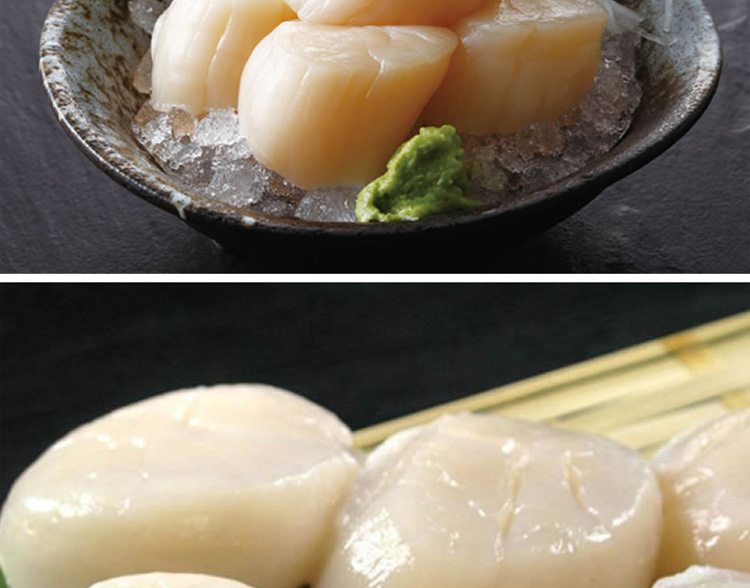 渔鼎鲜贝类 渔鼎鲜 冷冻北海道带子 1kg 36-40个 瑶柱 生食海产冷冻贝