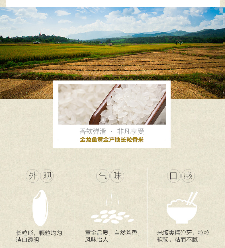 金龙鱼黄金产地长粒香米5kg