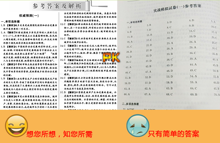 《2017年全国注册城市规划师执业资格考试教