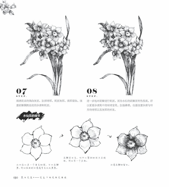 黑白花意4 笔尖下的经典花语绘 爱林文化著著 摘要书评在线阅读 苏宁易购图书