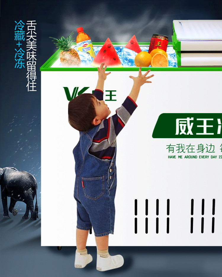 weking威王bcbd218h双温双箱节能冷柜大冰柜冷藏柜冰吧218