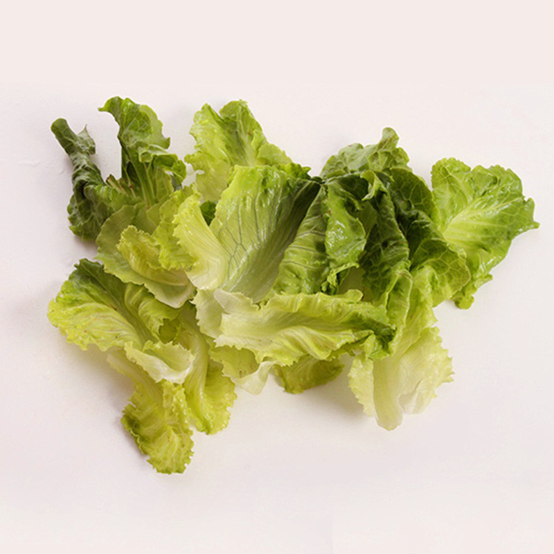 农聚源花叶生菜500g绿萝莎沙拉菜新鲜蔬菜as叶菜非有机国产其他