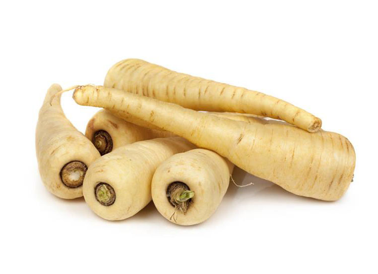 超级新品 防风根1斤 欧洲萝卜 新鲜蔬菜