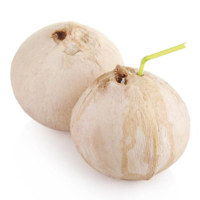 磨光白椰子4枚椰皇7斤左右新鲜进口水果产发qqqq