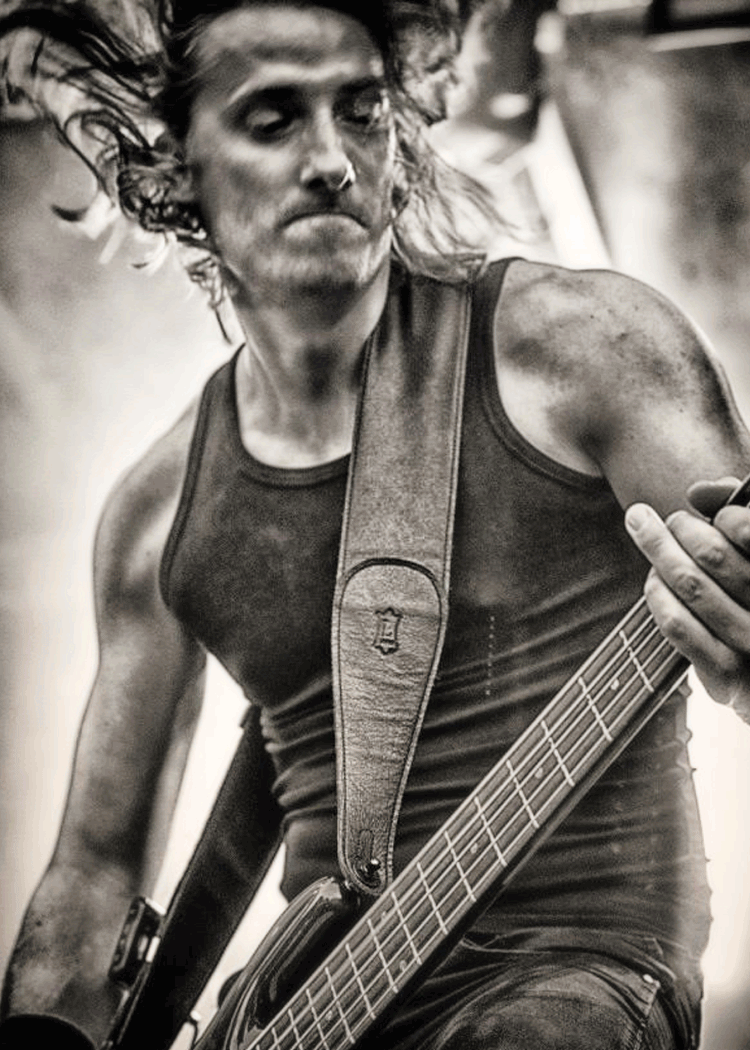 沃森(woshion)乐器配件levys 李维斯levys m8poly