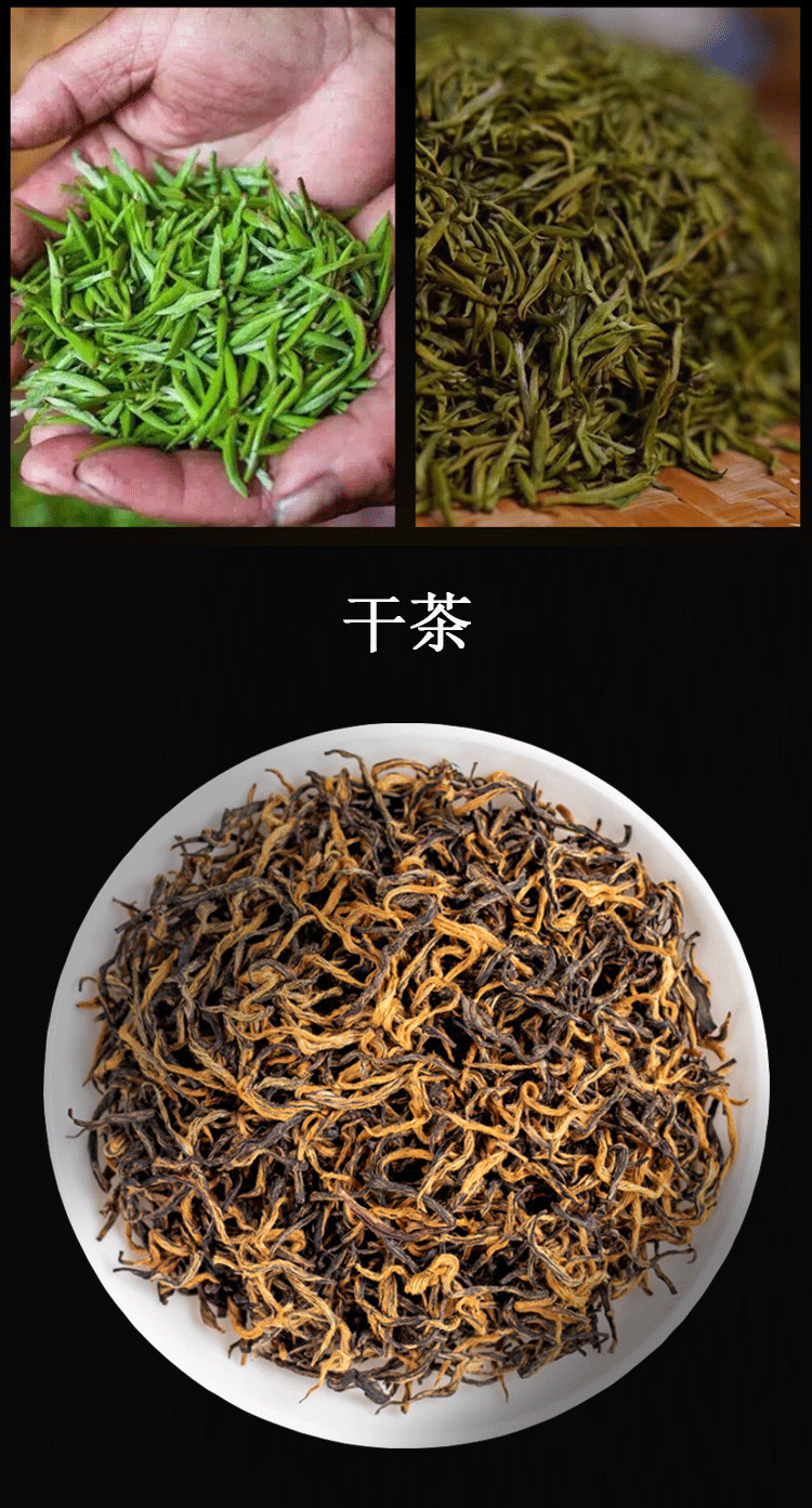 滇红云南凤庆大叶种古树工夫红茶