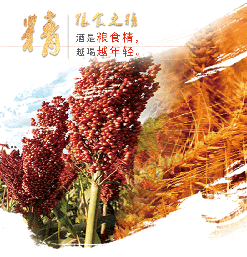 酒厂自营北大仓老枪酒53度酱香型白酒1320ml木盒装大器现身彰显尊贵