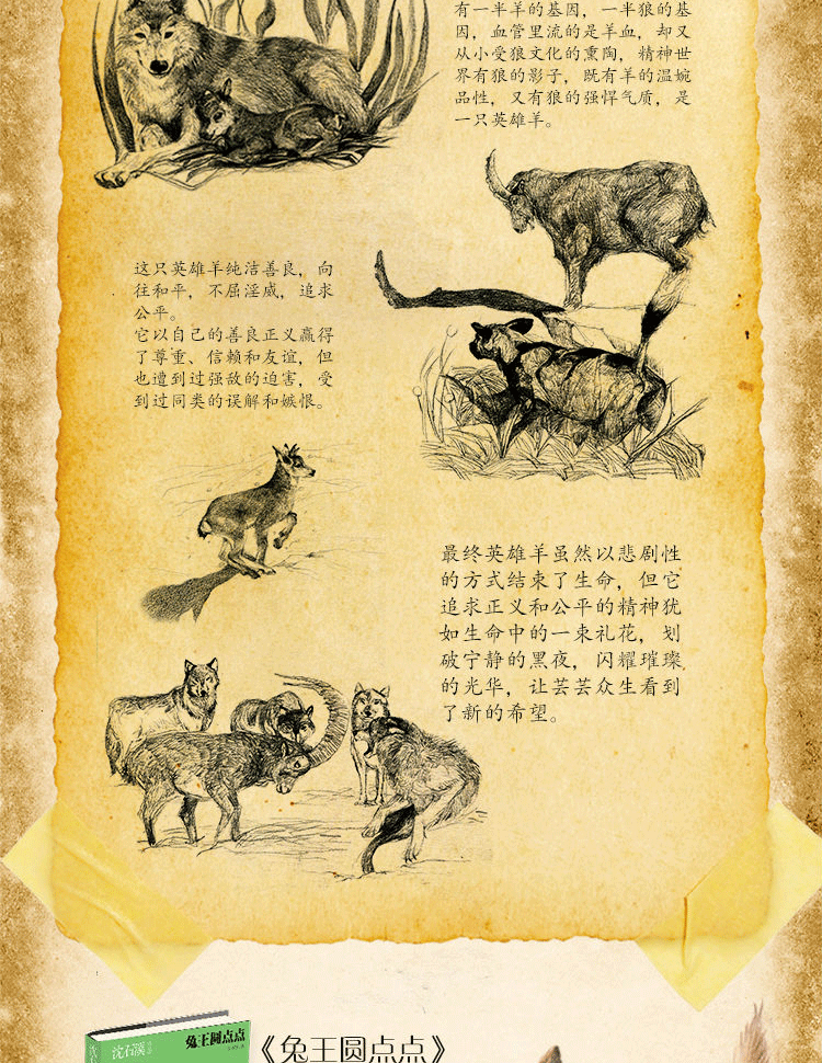 动物小说系列兔王圆点点动物小说大王沈石溪新作明天出版社小学生课外