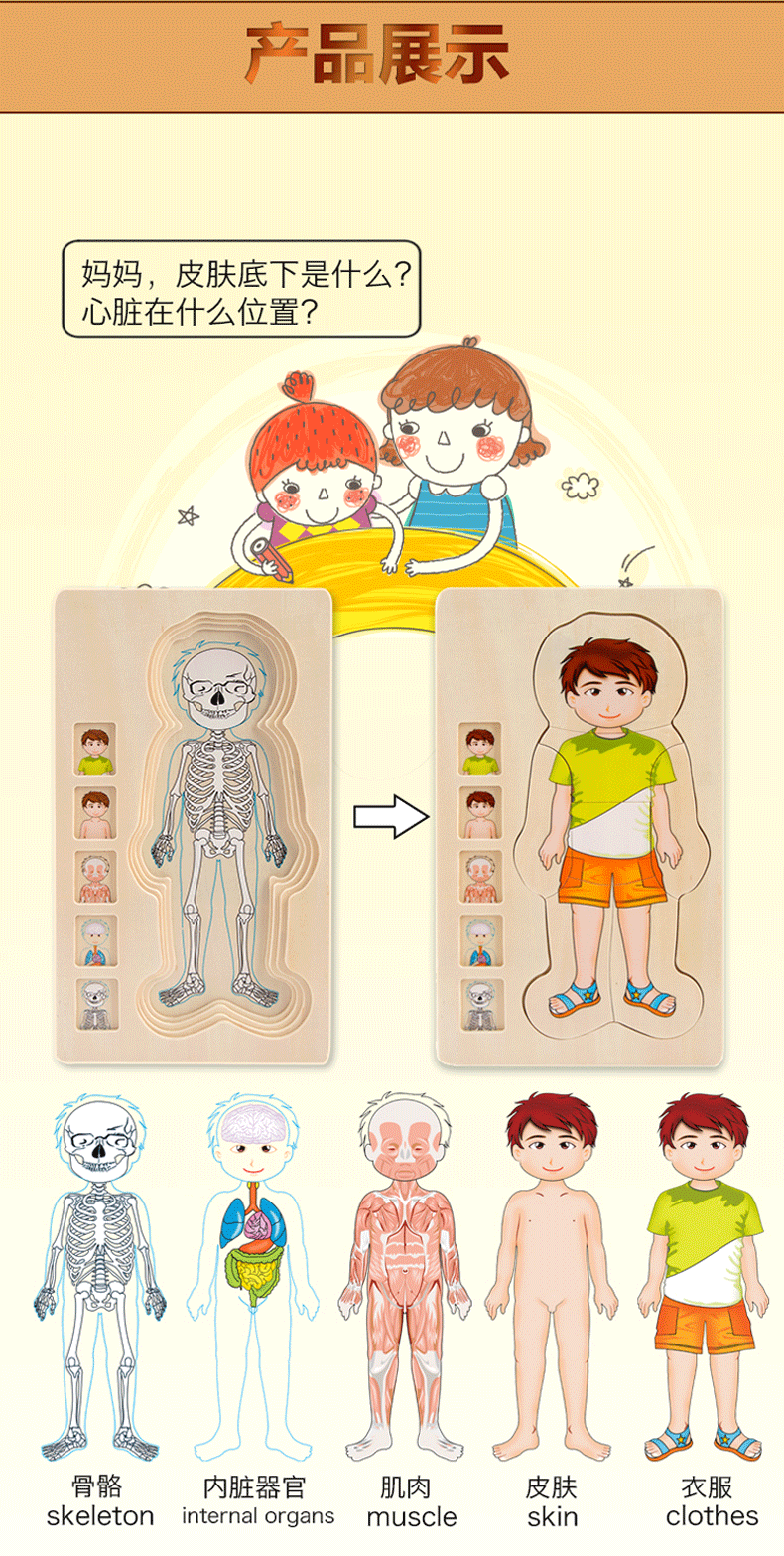 拼图儿童多层木质人体3d立体结构幼儿玩具女男孩早教2-3-4岁 多层拼图