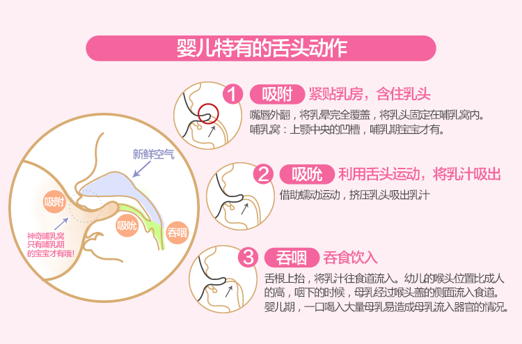 婴儿哺乳窝照片图片