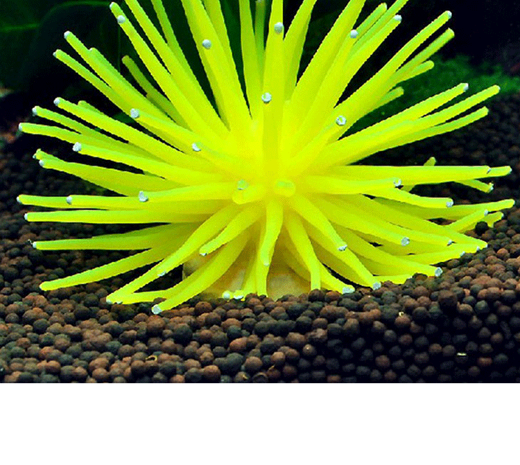 正楷水族装饰造型 鱼缸装饰珊瑚/仿真海胆球/水族软体珊瑚 仿真海胆球